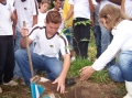 Projeto ensinará as etapas do plantio de árvores arvore