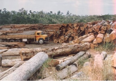 amazonia