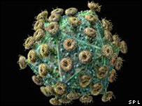 Cientistas criam 'celulas assassinas' para combater HIV bbc2