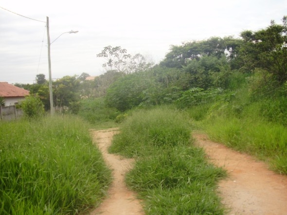 lavras2