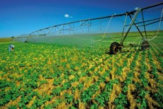 Aquecimento global torna urgente o uso correto da água plantaes