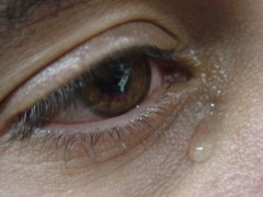 Entre a palavra e a doença: as nuances do bem viver ao bem dizer lagrima