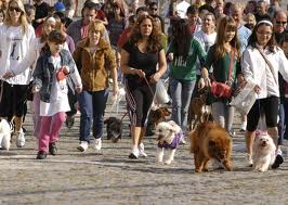 Prefeitura de Divinópolis apóia “Cãominhada” (caminhada com os cães) no próximo domingo cominhada