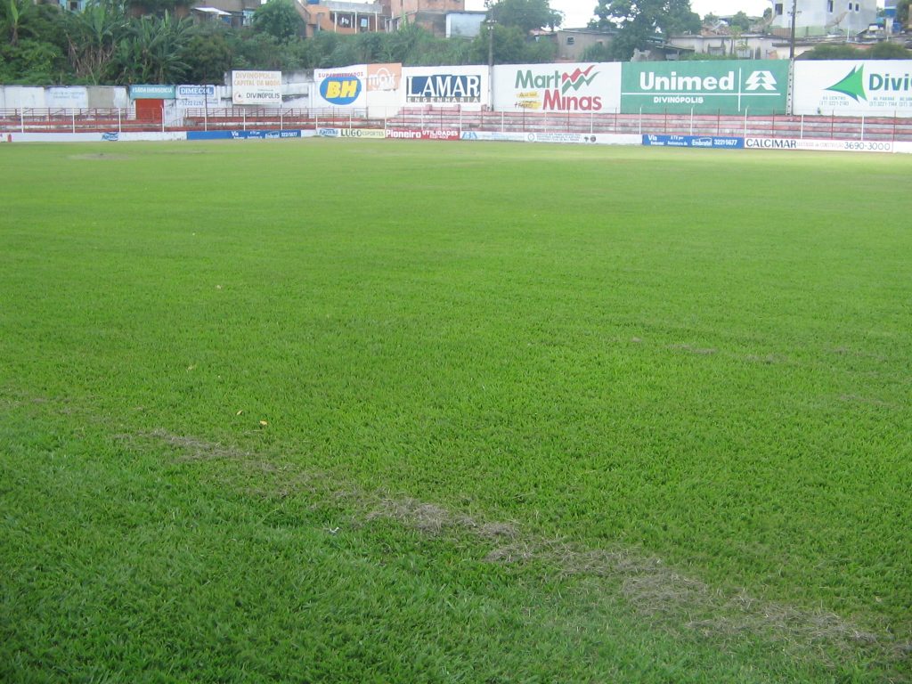 Guarani iniciou nesta segunda feira o trabalho com a apresentação de metade do grupo de jogadores que irão defender o Bugre no Campeonato Mineiro de 2011 img_0001