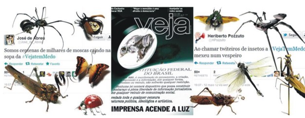 #vejatemMedo: mete a mão em vespeiro e sai ferida veja2