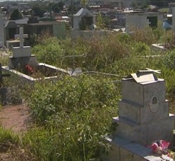 SERÁ QUE OS MORTOS TAMBÉM VÃO PAGAR A CONTA? Prefeitura faz recadastramento de proprietários de túmulos e jazigos matoimage1ok