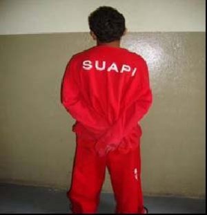 suapi-mg