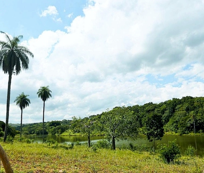 terreno
