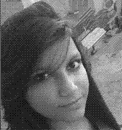 aryane(1)