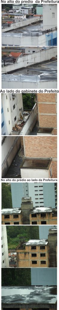 Dengue(3)