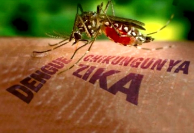 DENGUE(1)