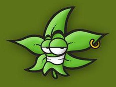 Policia Militar autoriza “Marcha da Maconha” em Divinópolis – Prefeitura veta durante desfile de aniversário da cidade cannabis