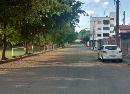 Prefeitura diz que poda árvores para a cidade ficar mais clara e segura – Ambientalista condena tipo e época da poda arvores