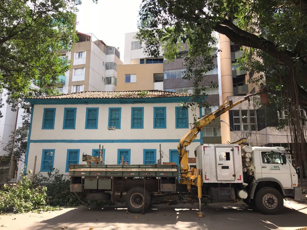 Prefeitura realiza poda de árvores próximas ao museu poda arvore museu (1)