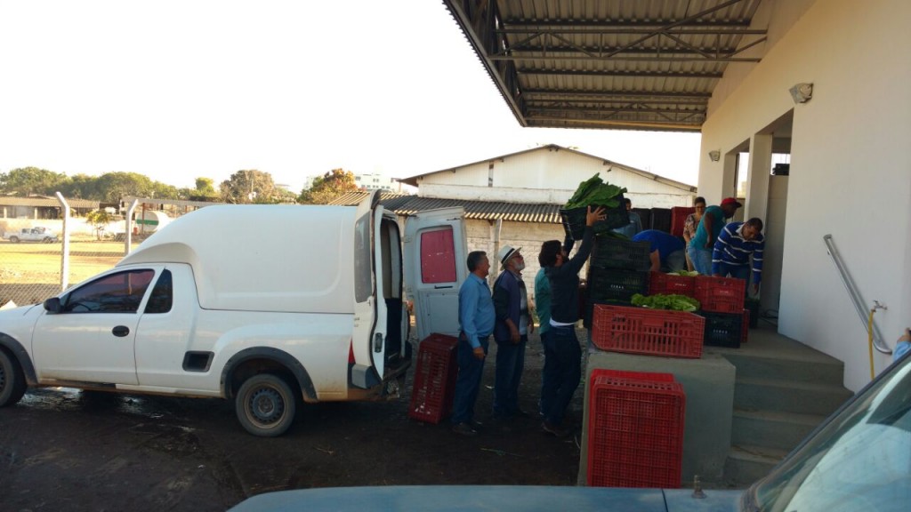 Mais de 5 toneladas de frutas e verduras são entregues no PAA 16