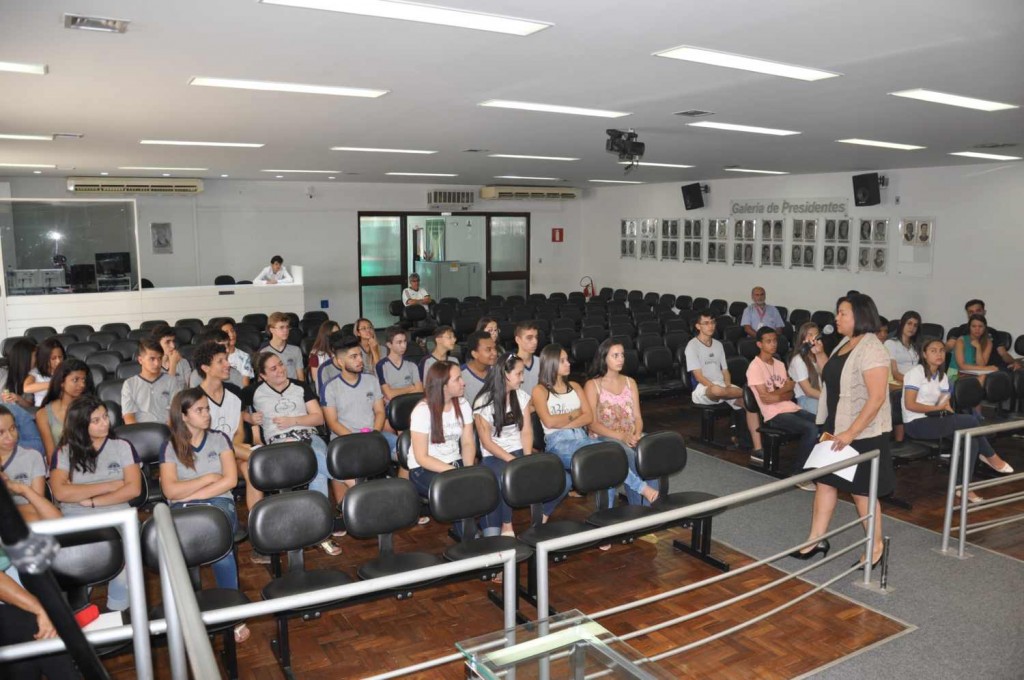 Comissão de Educação da Câmara de Divinópolis propõe encontro com lideranças jovens do município Janete