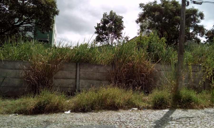 BOCA NO TROMBONE: moradores do Ipiranga reclamam dos latifundiários urbanos que não limpam lotes; e prefeitura nada faz