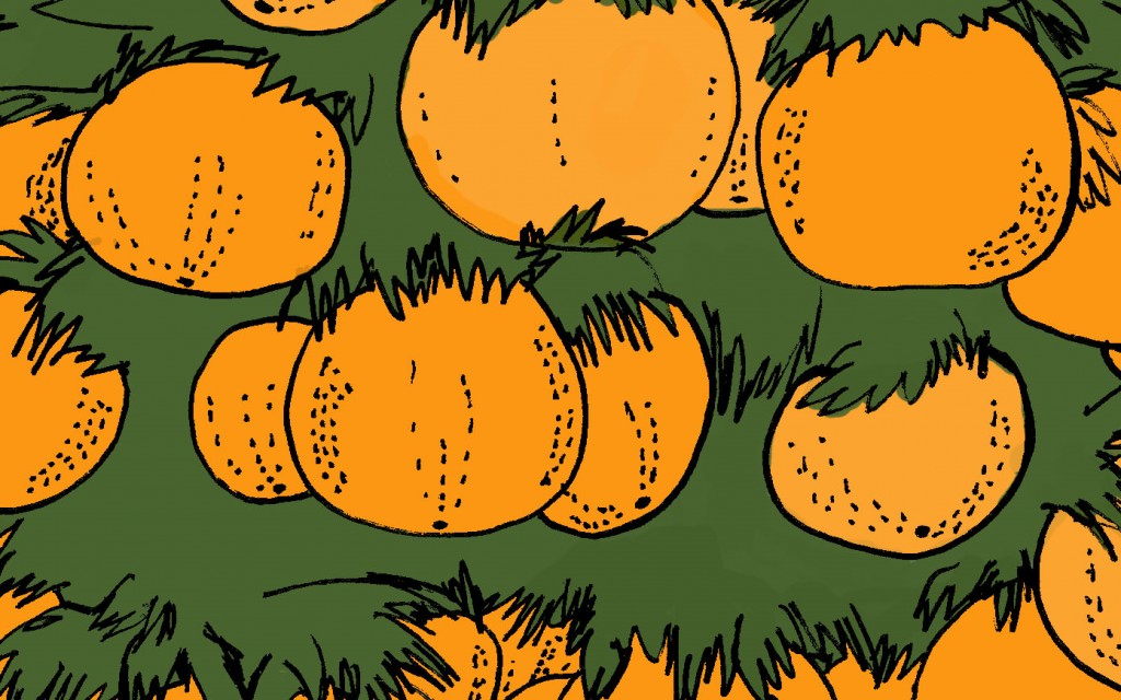 Charge: o grande pé de laranja 181218