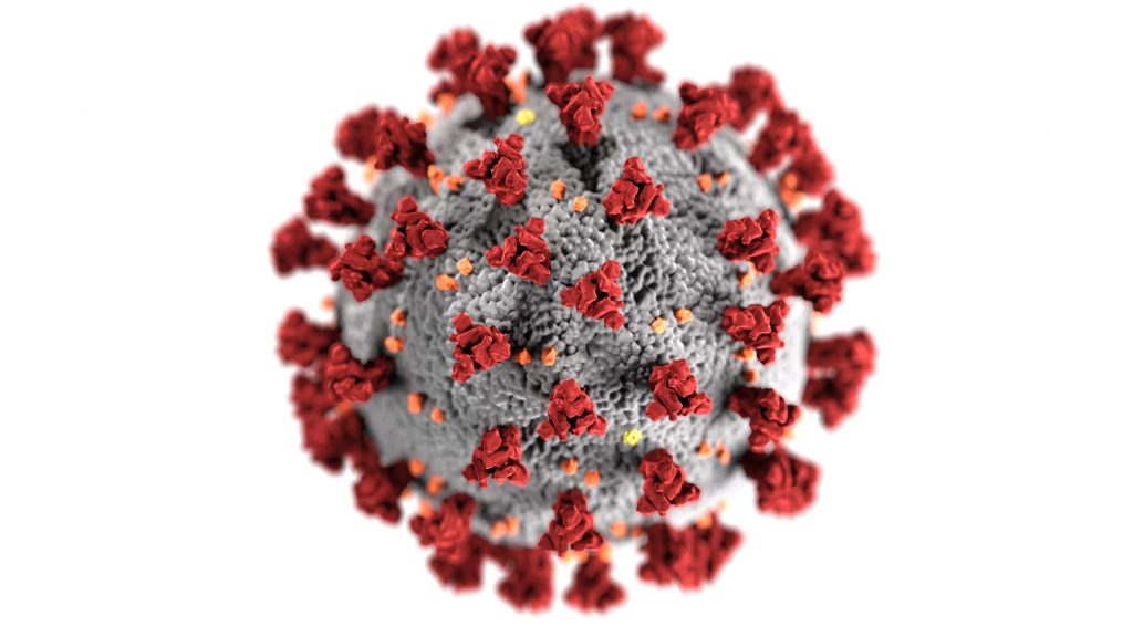 Brasil pode ser o novo epicentro da pandemia de coronavírus, aponta estudo da USP photo-1584118624012-df056829fbd0