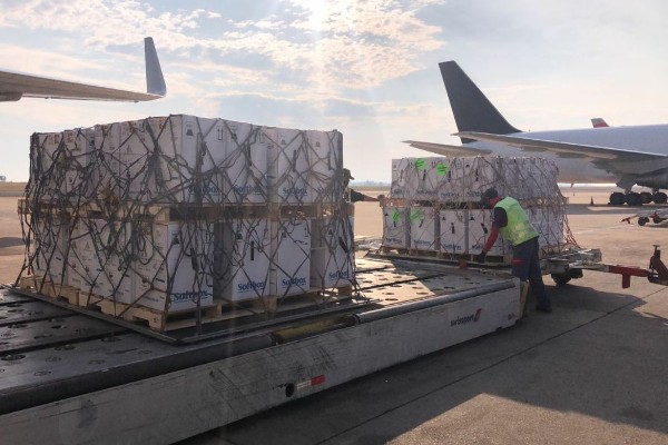 Brasil recebe 1º lote de vacinas do 2º contrato com a Pfizer; acordo prevê fornecimento de mais 100 milhões de doses até dezembro 1633965242633