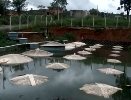 Divinópolis: Estação de Tratamento de Esgoto derrama e causa mal cheiro no Bairro Jardim Copacabana; prefeitura diz que culpa é de moradores ete copacabana 2