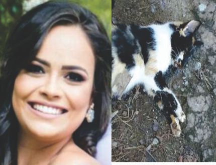 MAUS-TRATOS: Juliana Coelho, secretária de Assistência Social da Prefeitura de Divinópolis, é acusada de supostamente mandar exterminar gatos no prédio da Secretaria