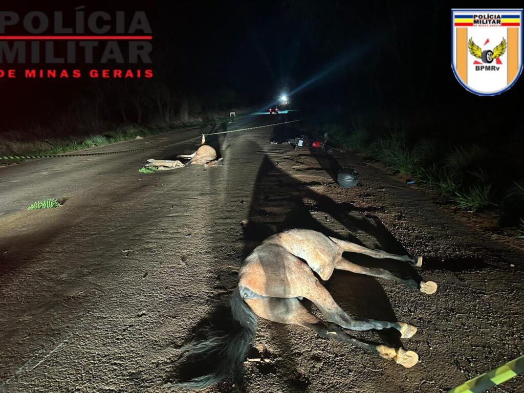 Animais na pista provocam morte de motociclista na BR-352 acidente
