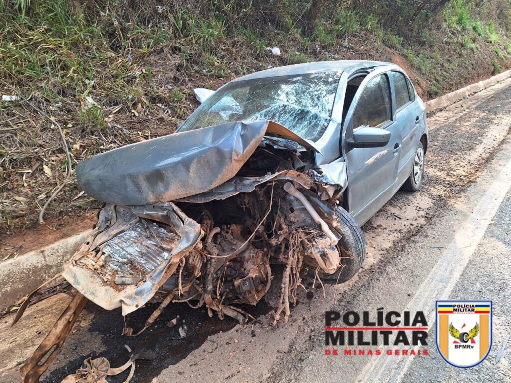 Cachorro na pista provoca acidente em rodovia e mulher fica ferida cachorro provoca acidente