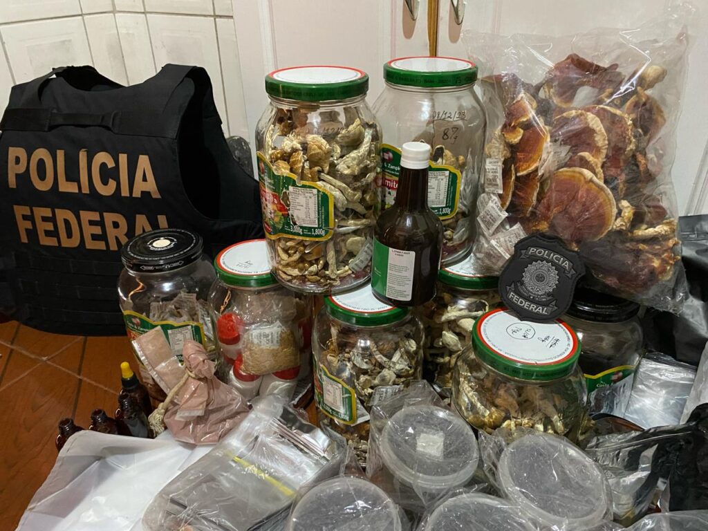 Empresa de Minas Gerais vendia cogumelos alucinógenos em site; PF cumpre mandado de busca e apreensão Cogumelos
