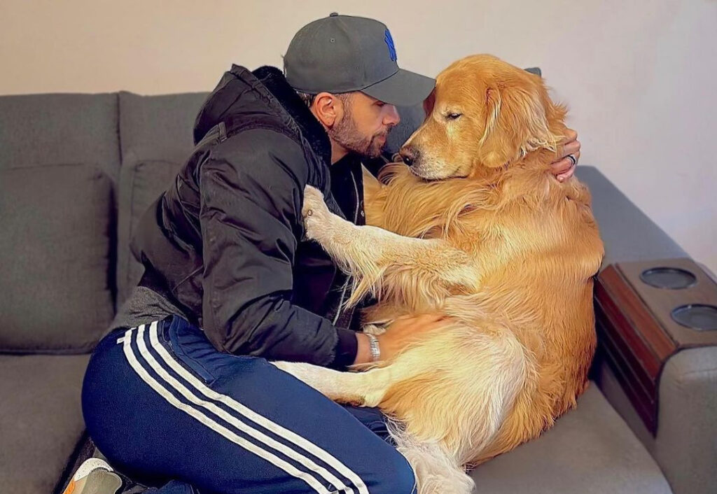 Cachorro morre em viagem área da Gol após ser encaminhado para outro destino WhatsApp Image 2024-04-24 at 13.42.29