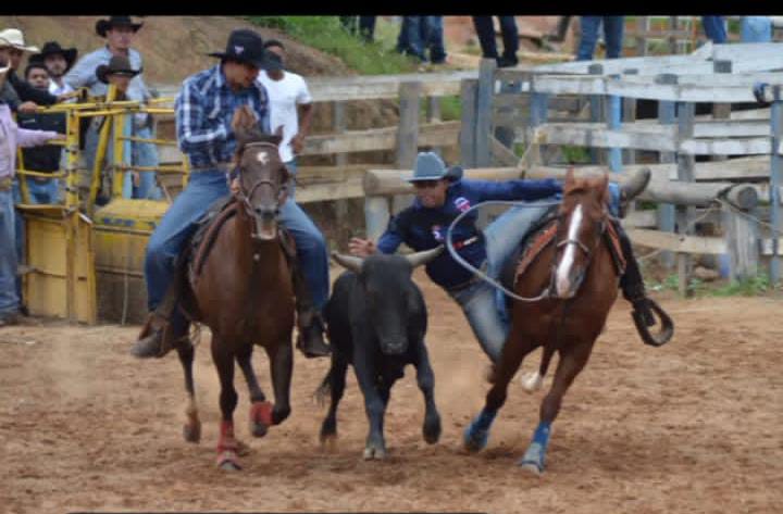 São Sebastião do Oeste poderá comemorar título inédito conquistado pelo médico veterinário Mateus Henrique na categoria Bulldog mateus
