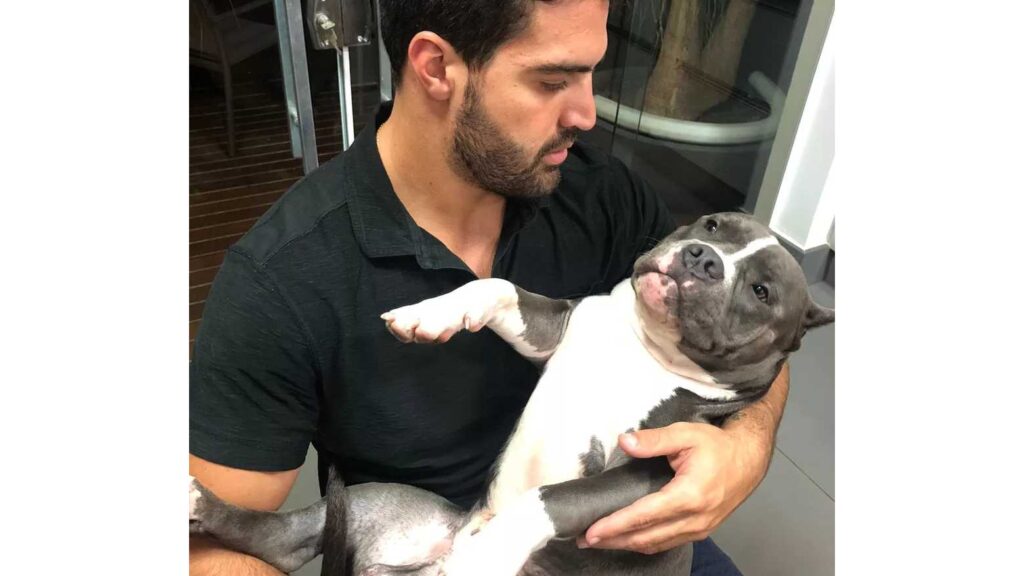 Latam foi condenada a pagar R$ 30 mil por morte de cachorro em voo cachorro
