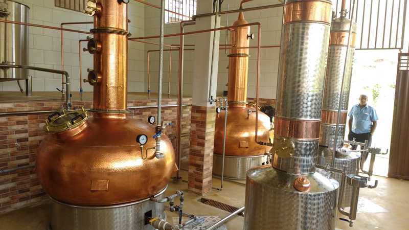 Governo de Minas investe em pesquisas para garantir a qualidade da cachaça mineira