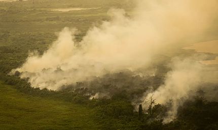 Mato Grosso do Sul decreta situação de emergência Mato Grosso do Sul decreta situação de emergência