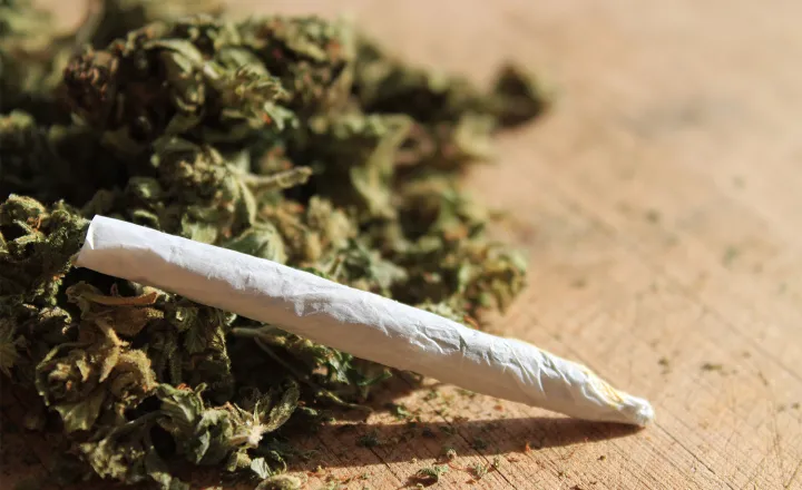 STF forma maioria para descriminalizar porte de maconha para consumo próprio saude-maconha