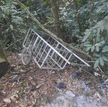 Criança de 9 anos é encontrada desacordada e com sinais de violência sexual em Juiz de Fora tempo