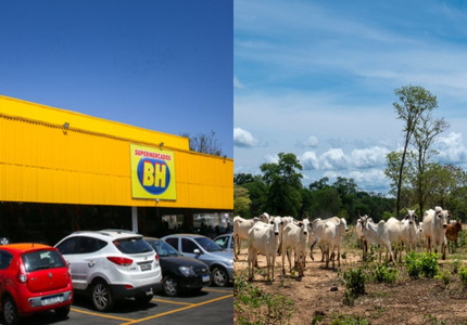 Sócio do Pedrinho no Supermercados BH é investigado por criação irregular de bois, no Norte de Minas