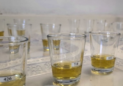Concurso cachaças mineiras 2024 realiza treinamento técnico para jurados Treinamento_jurados_cachaça_002_(Emater-MG) (1)