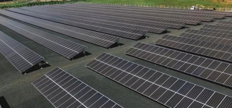 Governo de Minas atrai projeto de parques solares com investimento de R$ 140 milhões WhatsApp Image 2024-07-18 at 13.10.40