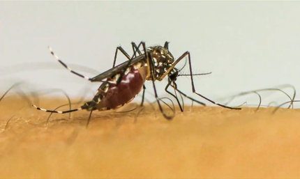 Minas Gerais declara fim da emergência em saúde após epidemia histórica de dengue image (22) (1)
