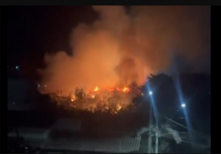Incêndio no bairro Alto São Vicente deixa área de vegetação devastada, em Divinópolis