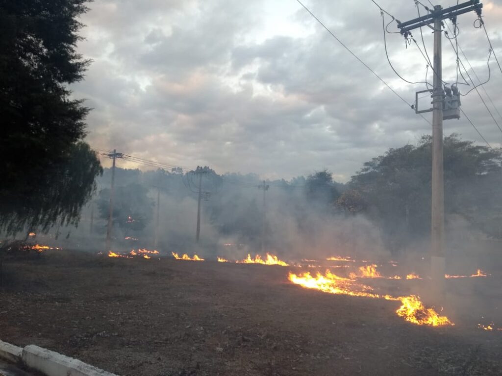 Queimadas em Minas Gerais triplicam interrupções de energia e afetam mais de 160 mil clientes Imagem do WhatsApp de 2024-08-27 à(s) 12.15.27_ba45ac7e