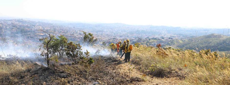 Brigadistas atuam na linha de frente contra incêndios florestais em Minas Gerais