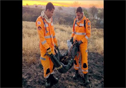 Corpo de bombeiros resgatam cão de incêndio, em Bom Despacho foto-bombeiros-resgate-cachorro-incendio-SITE-2024-08-03 (2)