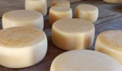 A tradição do queijo artesanal de Minas cresce e fortalece cultura e gastronomia do estado