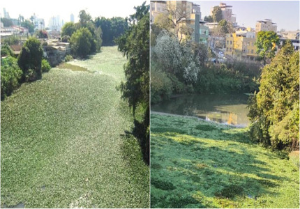 Depois de 10 anos, Rio Itapecerica em Divinópolis volta a ter problemas com proliferação de aguapés rio itapecerica em 2014 e em 2024 (1)