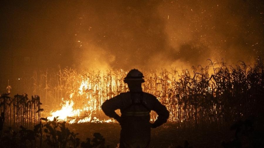 Incêndios no país são fruto de ação criminosa articulada 16set2024---bombeiro-durante-incendio-florestal-em-ribeira-de-fraguas-albergaria-a-velha-em-aveiro-portugal-1726585433081_v2_900x506