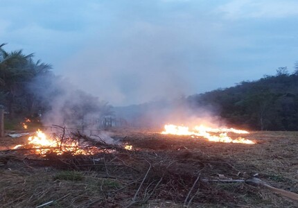 Homem é preso após provocar incêndio para plantar milho na MG-050, em Itaúna