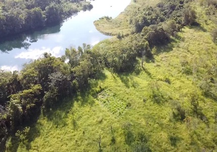 Dia da Árvore: Cemig se aproxima da marca de 1 milhão de mudas plantadas em seis anos Parque Estadual do Pau Furado (1)