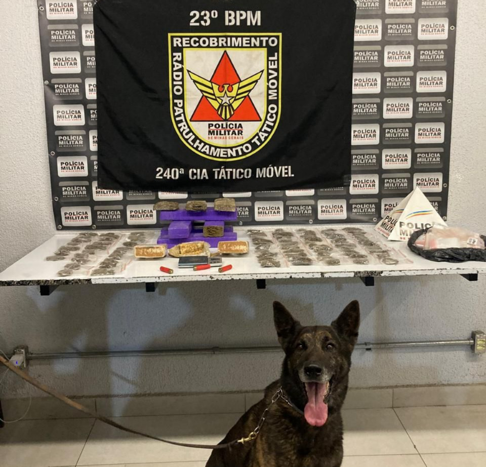 Com ajuda de cão farejador, 80 barras de drogas são apreendidas no bairro Maria Helena em Divinópolis WhatsApp Image 2024-09-11 at 10.14.13